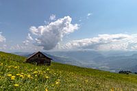 Berghut op de Rigi Zwiserland