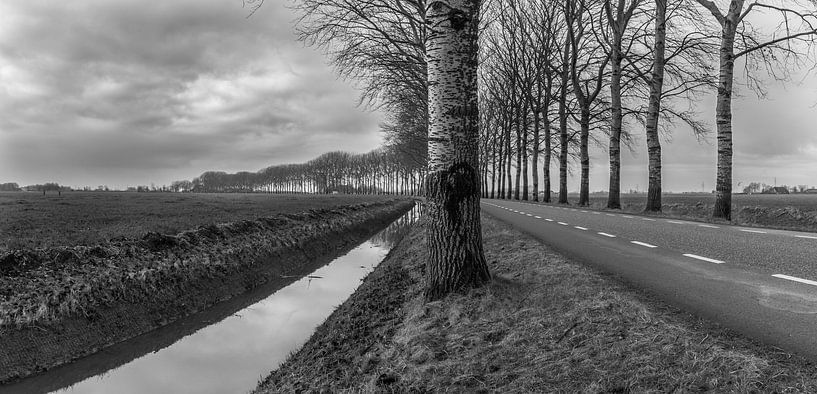 Monochrome Landschaft / B &amp; Amp; W Landschaft von Henk de Boer