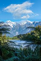 Blick auf den Lake Matheson, Neuseeland