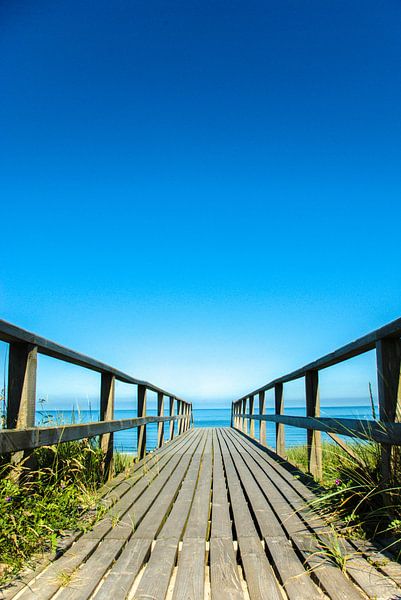Holzweg Richtung Strand von Norbert Sülzner
