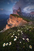Seceda, Dolomiten