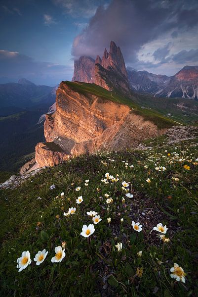 Seceda, Dolomiten von Sven Broeckx