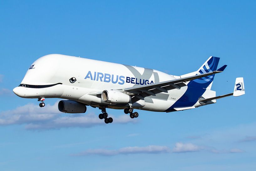 The Airbus Beluga XL is going to land in Toulouse by Dennis Dieleman