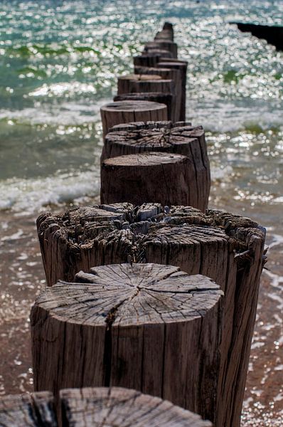Zoutelande breakwaters by Blond Beeld