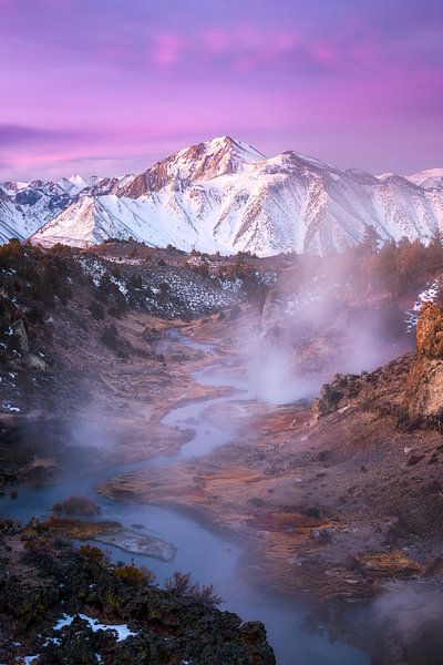 Rose Eastern Sierra par Daniel Gastager