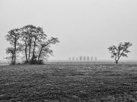 Nebliger Morgen in der Umgebung von Soest