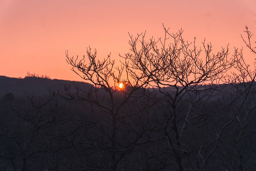 Zonsondergang door de bomen von Nynke Nicolai
