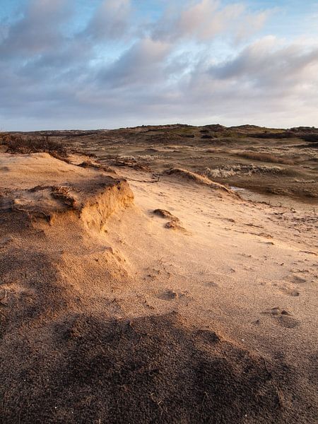 Afstap von David Hanlon