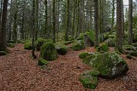 Germany - Black Forest - Günterfelsen