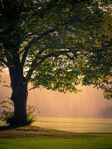 Indian Summer in Holland von Pascal Raymond Dorland