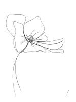 Hortensienblüte Einzeilige Zeichnung