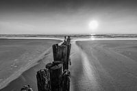 Wellenbrecher - Buhnen