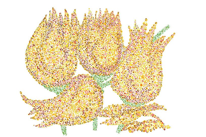 Un groupe de tulipes par Studio Spanjersberg