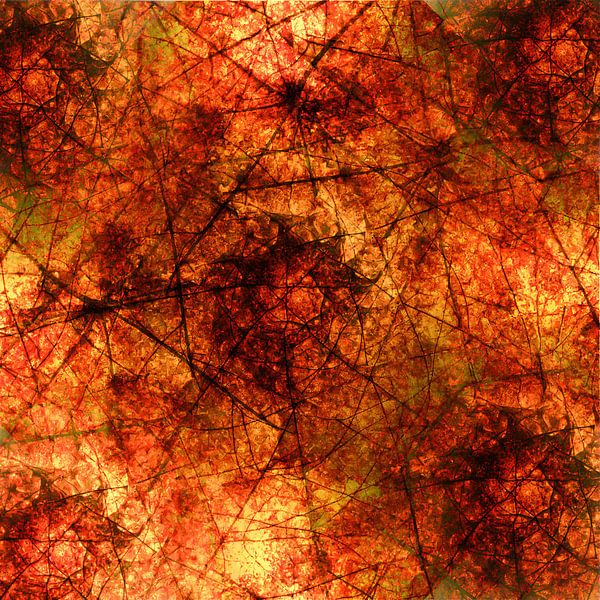 Kaleidoskop Feuer von Klaartje Majoor