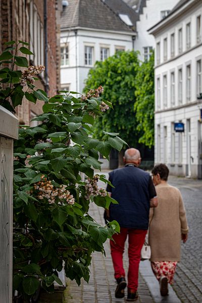 Street walk @ Bruges by Eddy Smets