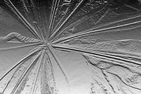 Scaevola Taccada Argentu