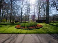 Tulip bed in the Keukenhof