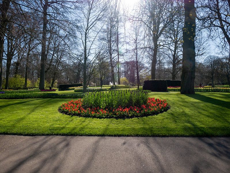 Tulpenbeet im Keukenhof von Matthijs Noordeloos