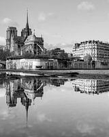 Notre Dame de Paris reflection