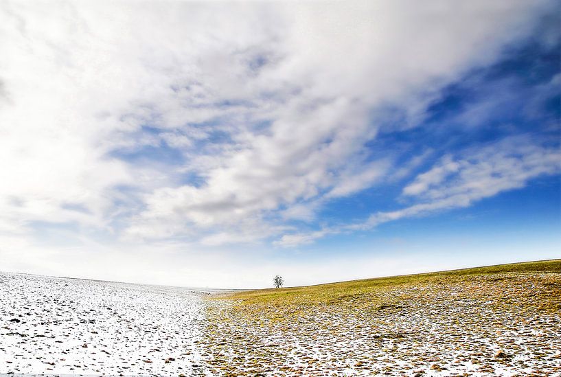 Late winter by Ronnie Reul