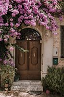 Botanische Haustür | Italien | Rosenblüten