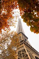 Tour Eiffel, automne