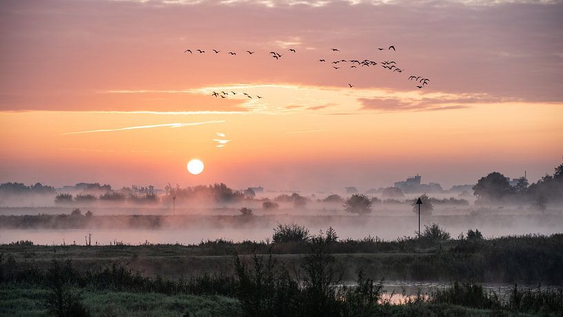 Lever du soleil Zalkerdijk. par Bert Visser
