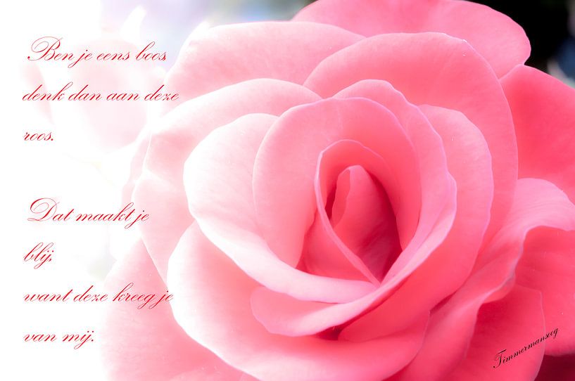 Een roos van mij. von Geert-Jan Timmermans