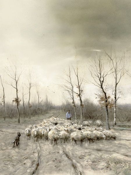 Schafherde in den Mooren bei Laren von Affect Fotografie