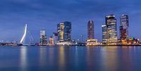 Skyline von Rotterdam bei Nacht