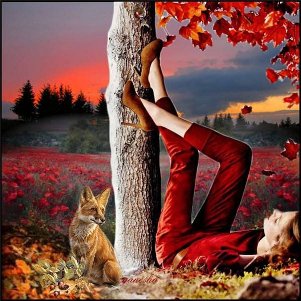 just a lazy day  van therese zwaay