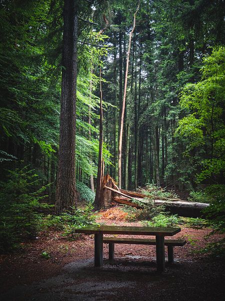 the future by snippefotografie