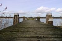 Ein robustes Gerüst.