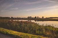 Lever du soleil dans la réserve naturelle de Bourgoyen - Ossemeersen, Gand, Belgique