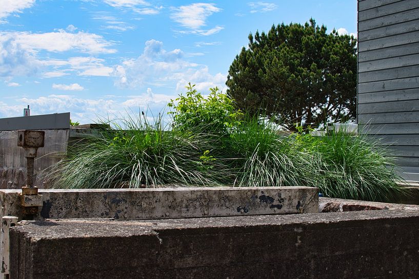 Un peu de feeling dans les dunes à Hambourg par Elbkind89