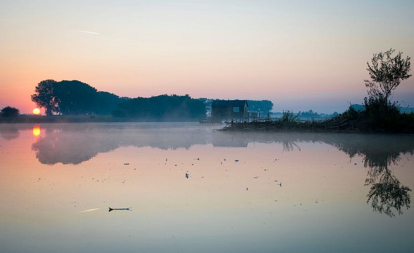 Sprookjesachtige zonsopkomst met mist von Cynthia Jansen