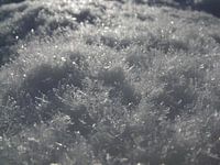 Schitterende sneeuw.