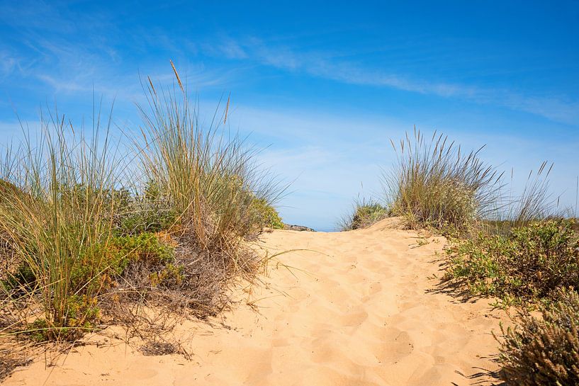 Chemin de dunes dans le sable, Algarve Portugal par SusaZoom