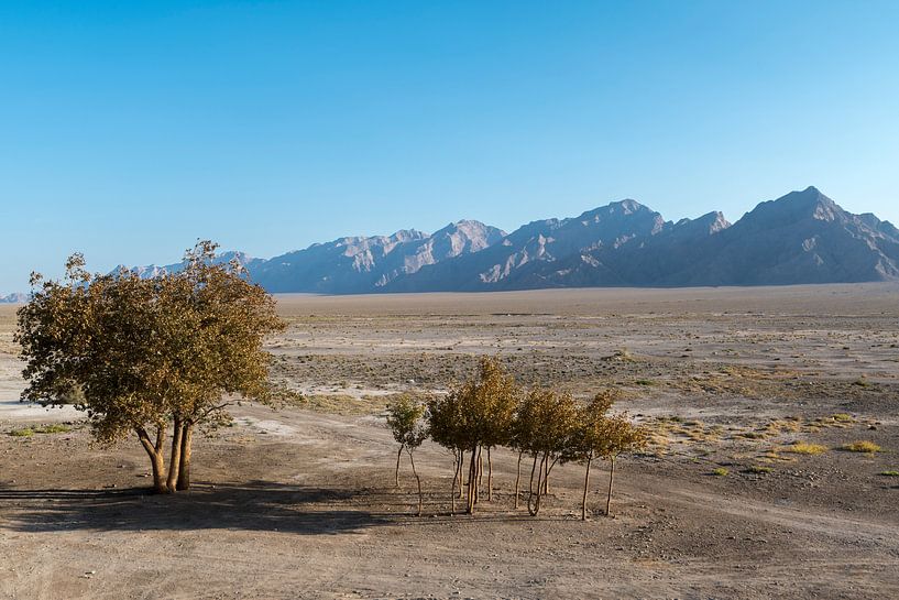 Iran: Zeinodin Karawanserei von Maarten Verhees