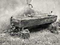 Detail eines Wasserbeckens in Schwarz-Weiß