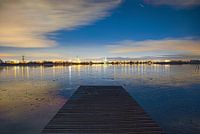 Die Natur wird zur Stadt