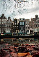 Amsterdam autumn