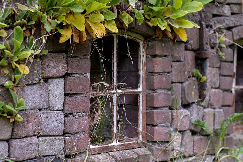 expire by Gert-Jan Kamans