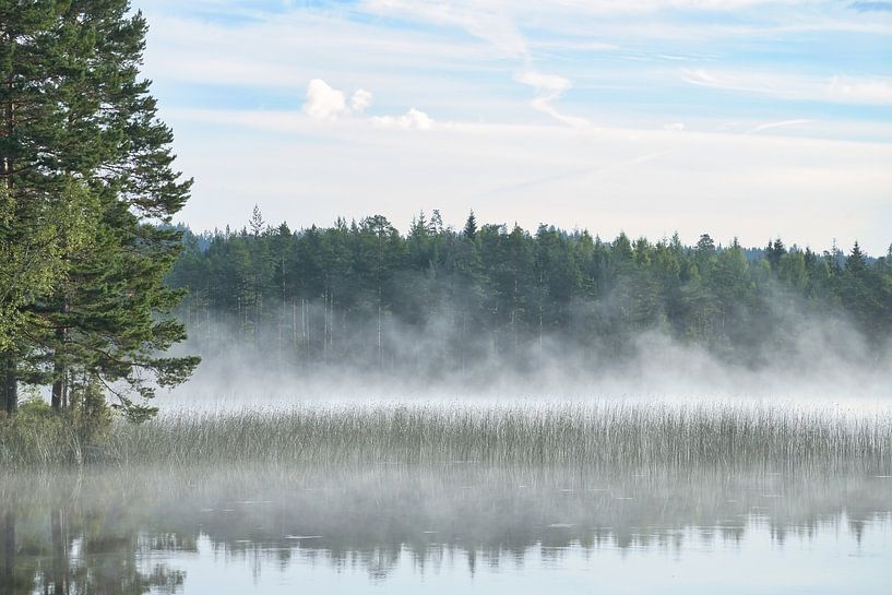 Fog rising into the water at dawn on a Swedish lake by Martin Köbsch