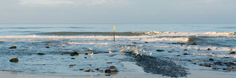 Panorama de la plage et de la mer par Peter Schütte