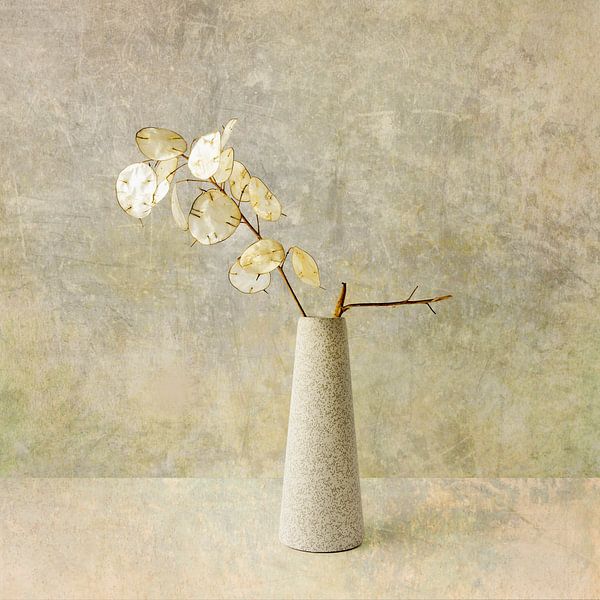 Weniger ist mehr. Minimalismus. Judaskiefer in Beige. von Alie Ekkelenkamp