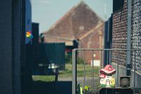 Bogaard garden gnomes