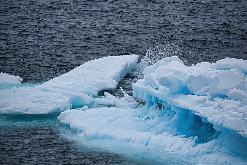 Éclaboussures par Frank's Awesome Travels