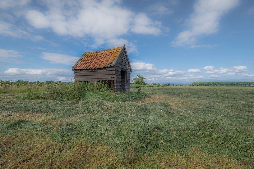 Schuurtje by Moetwil en van Dijk - Fotografie