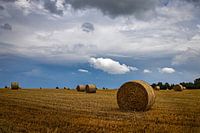 Heuballen auf dem Feld